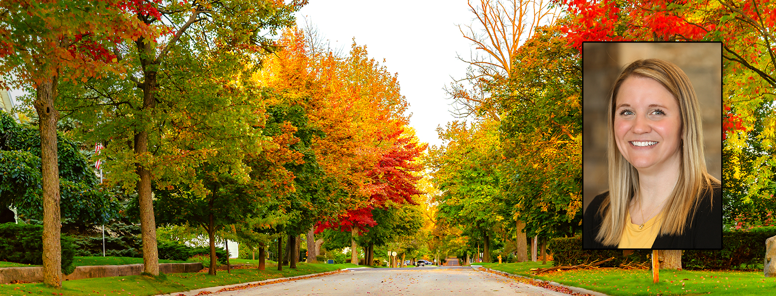 Fall street scene with colorful trees.
